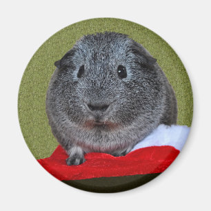 Försökskaninjul Magnet