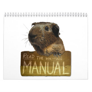 Försökskaninkalender 2013 kalender