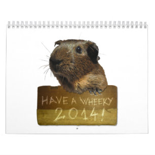 Försökskaninkalender 2014 kalender