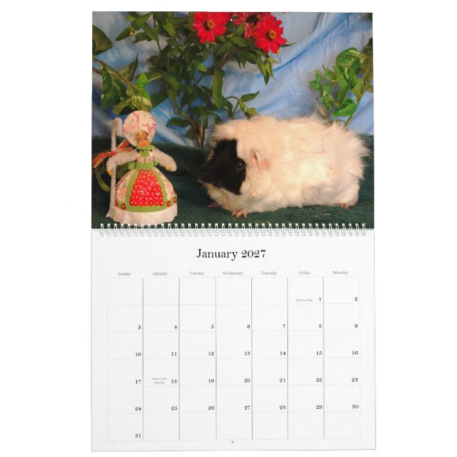 Försökskaninkärlekkalender 2010 kalender (Jan 2027)