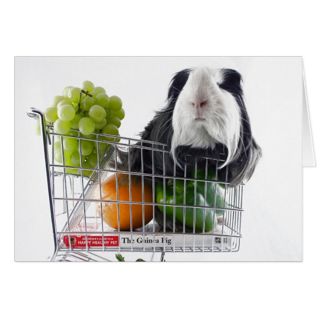 Försökskaninshoppingfest Hälsningskort (Framsidan Horizontal)