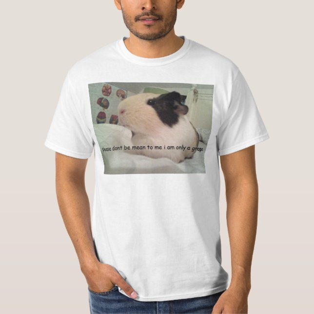 Försökskanintecknad Sans frukt??? idk Tee (Framsida)