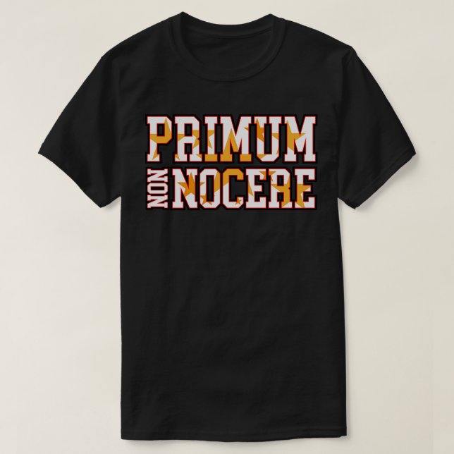 FÖRST GÖR DU INGET HARM PRIMUM NON NOCERE T SHIRT (Design framsida)