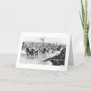 Först hundlag Alaska 1910 Kort