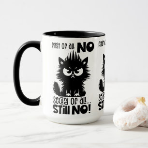 Först och främst, ingen rolig kattälskarepresent mugg