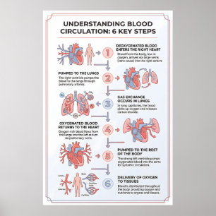 Förstå blodcirkulationen: 6 nyckelsteg poster