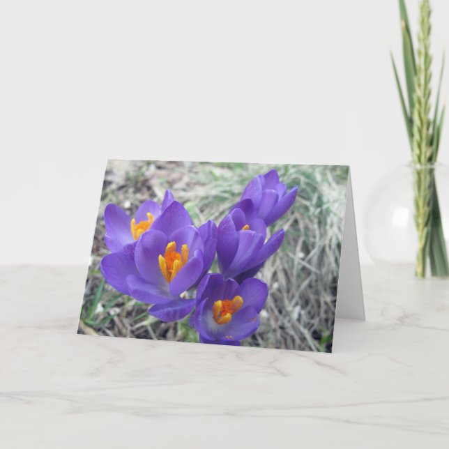 Första blom av våren kort (Framsida)