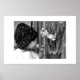 Första blomman poster