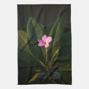 Första blomningen, Plumeria Kökshandduk