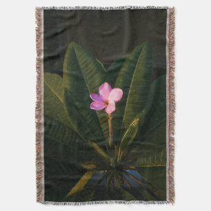 Första bloom, Plumeria Filt