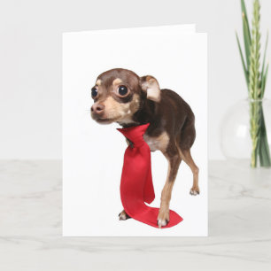 första dag nytt jobb kort