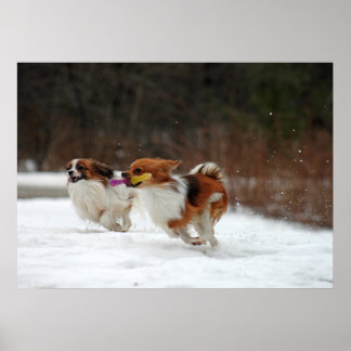 Första dagen under vintern 2012 poster