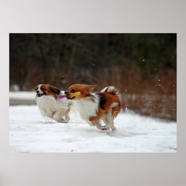 Första dagen under vintern 2012 poster (Framsidan)