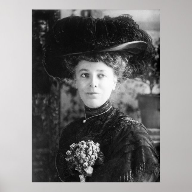 Första Dam Nellie Taft Poster (Framsidan)