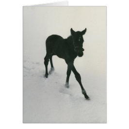 Första etappen i Snö Hälsningskort