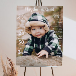 Första födelsedag: Poster fotomilstolpe
