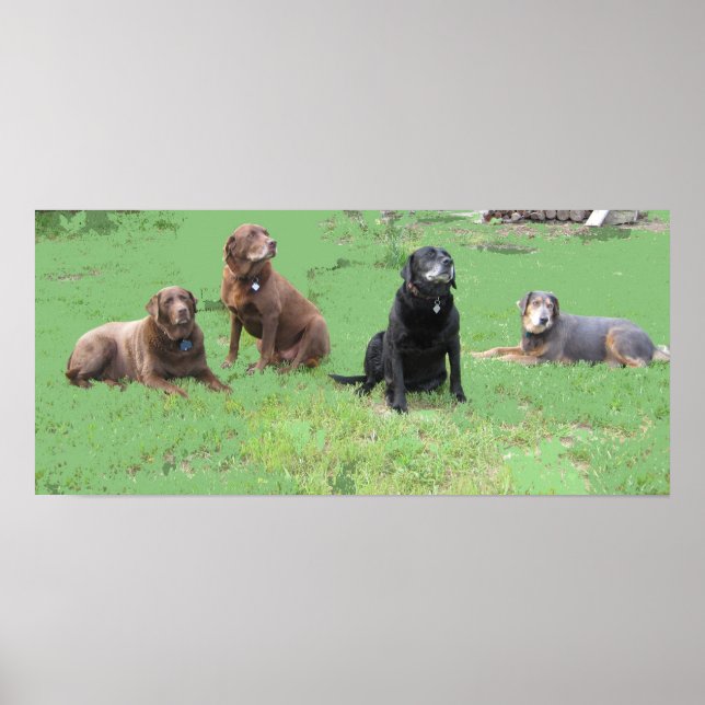 Första fyra poster (Framsidan)