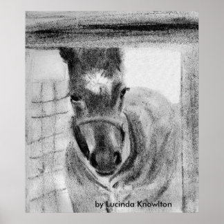 Första gången, av Lucinda Knowlton Poster