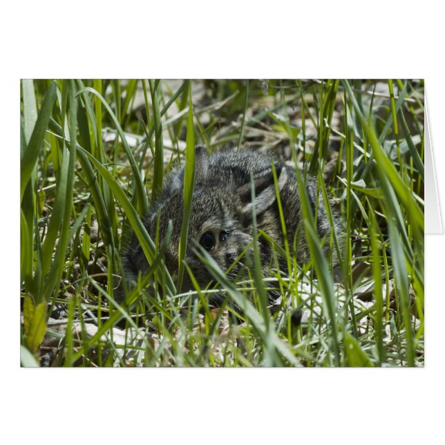 FÖRSTA GÅNGEN UT HÄLSNINGSKORT (Framsidan Horizontal)