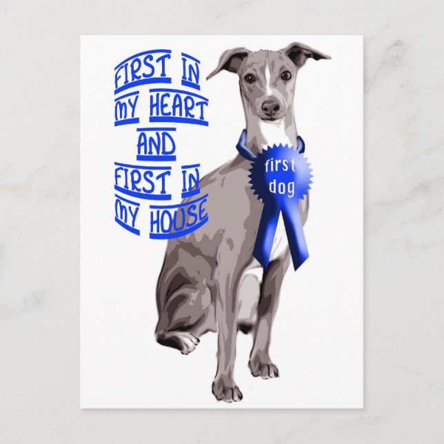 Första Hund Italienska Greyhound Vykort (Framsida)