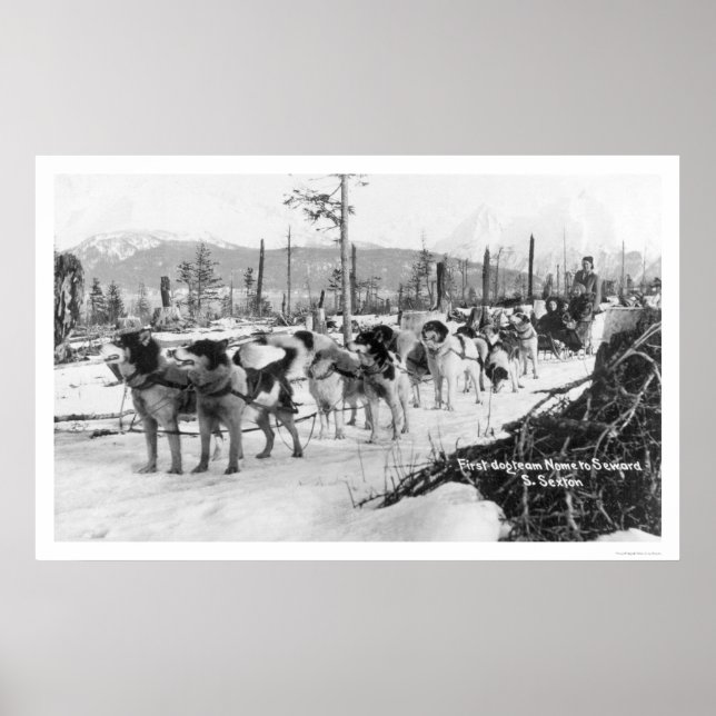 Första Hund Team Alaska 1910 Poster (Framsidan)
