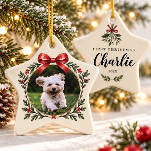 Första julen hund foto valp misteltoe husdjur julgransprydnad keramik