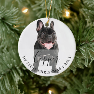 Första julen husdjur 2 Foto Skript Namn Ornament