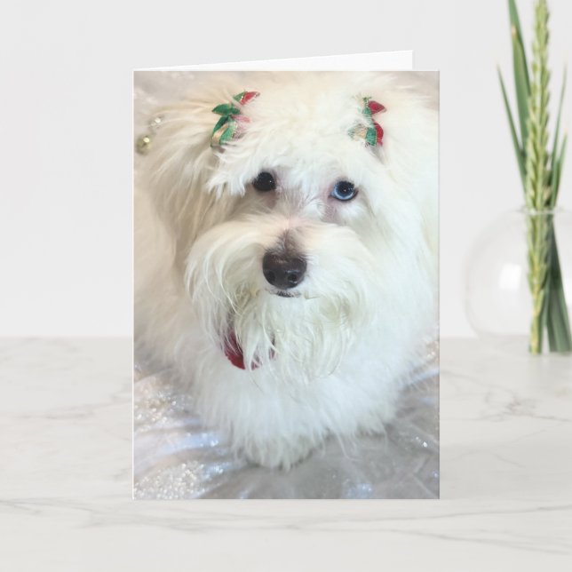 Första julen kort (Framsida)