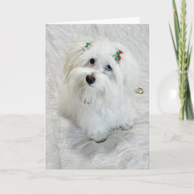 Första julen kort (Framsida)