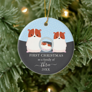 Första julen som familj på 3 Hamster Djur Julgransprydnad Keramik