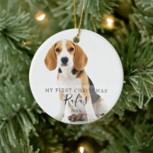 Första julens husdjursfoton