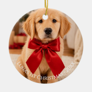 Första julfoto golden retriever julgransprydnad keramik