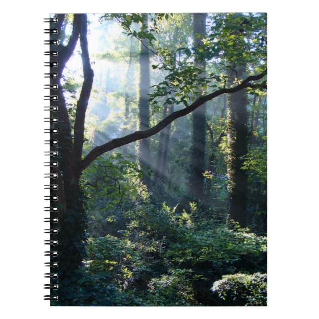 Första lätta bärbara dator anteckningsbok med spiral (Framsidan)