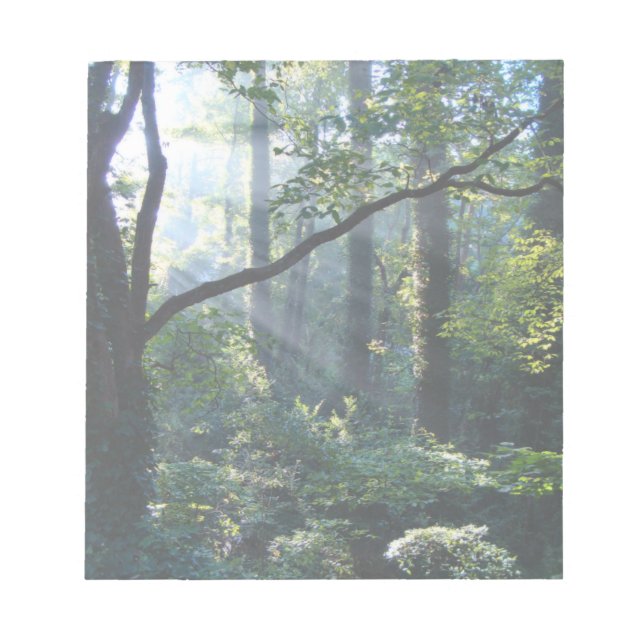 Första ljus, Anteckningsblock (Framsida)