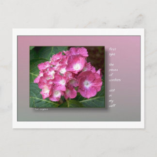 Första ljus med Hydrangeas Vykort