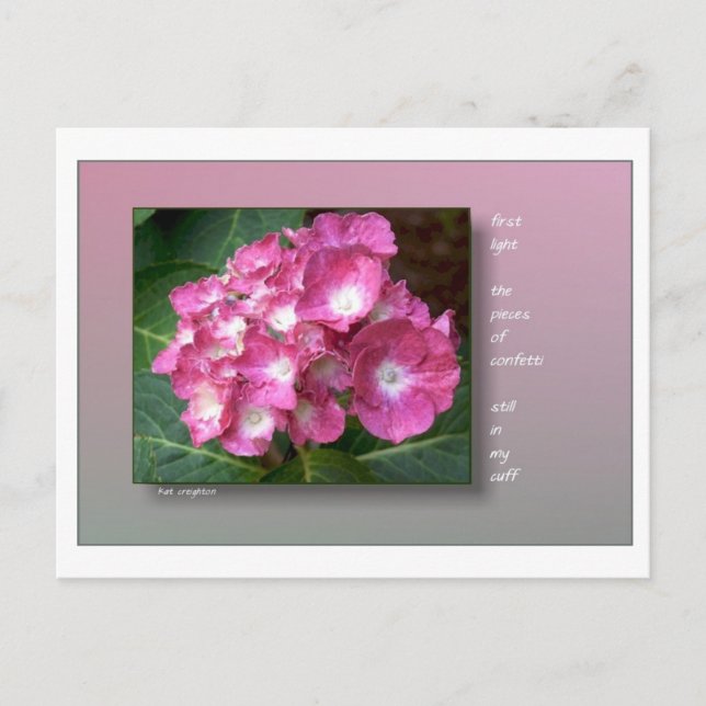 Första ljus med Hydrangeas Vykort (Framsida)