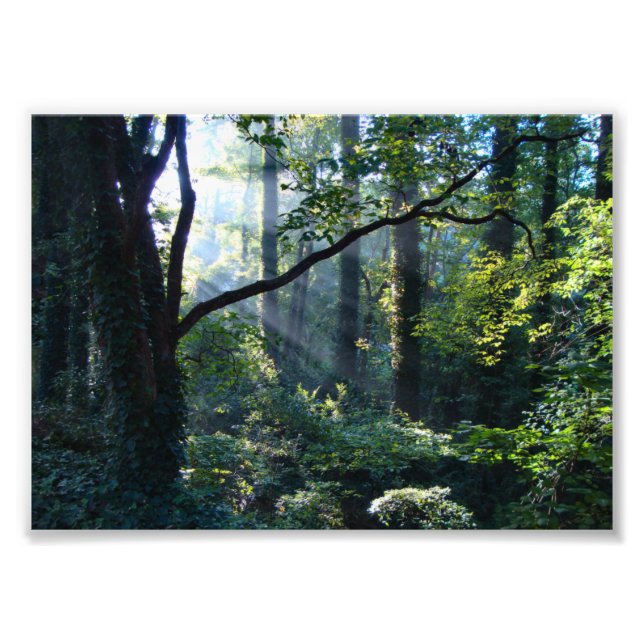 Första ljusa fotoutskrift fototryck (Framsidan)