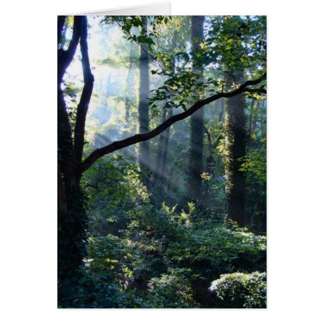 Första ljuskortet hälsningskort (Framsidan)