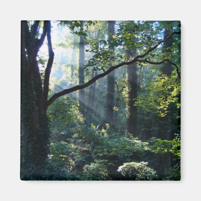 Första ljusmagneten magnet (Framsidan)