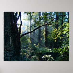 Första ljusutskrift poster