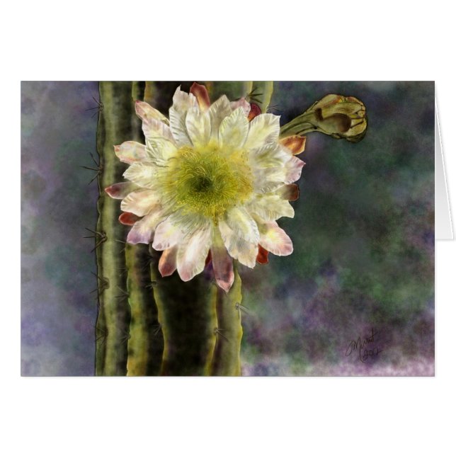 Första morgonljus OBS kort (Framsidan Horizontal)