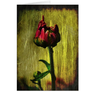 Första morsa hälsningskort