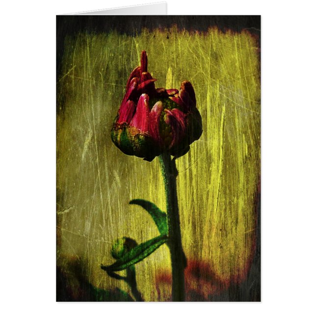 Första morsa hälsningskort (Framsidan)