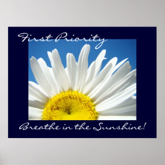 första Prioriterade konsttryck Andas i solskenet! Poster