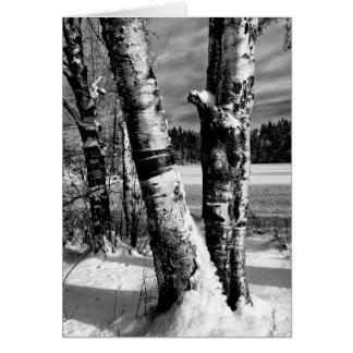 Första snö 2007 OBS kort