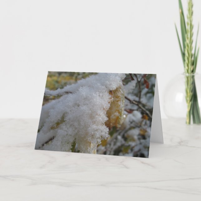 Första snö helgkort (Framsida)