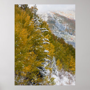 Första Snö Poster