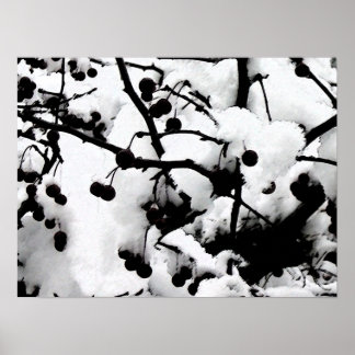 Första Snö Poster