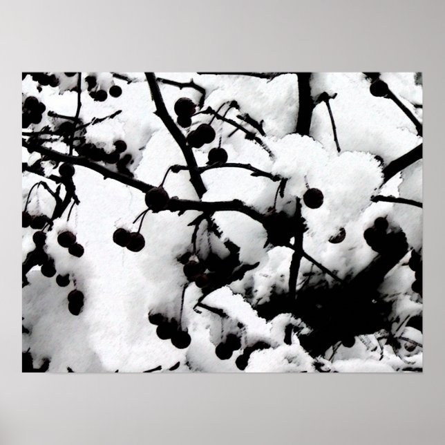 Första Snö Poster (Framsidan)