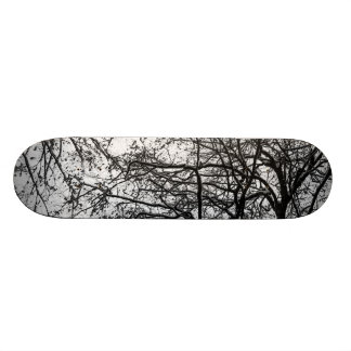 första snö skateboard bräda 20 cm